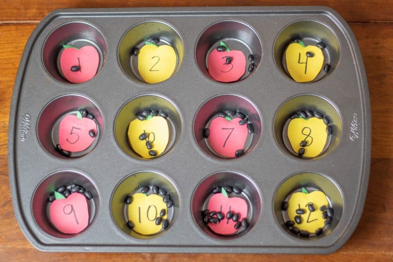 Count the apple seeds activity