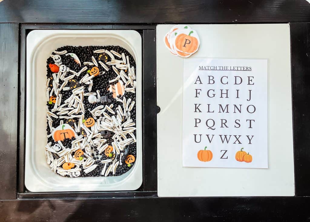 Letter Match Sensory Bin